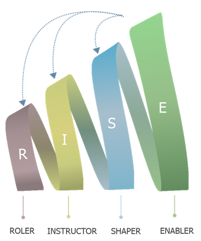 Figure 2: Basic structure - the R-I-S-E levels of the Leadership Impact Model